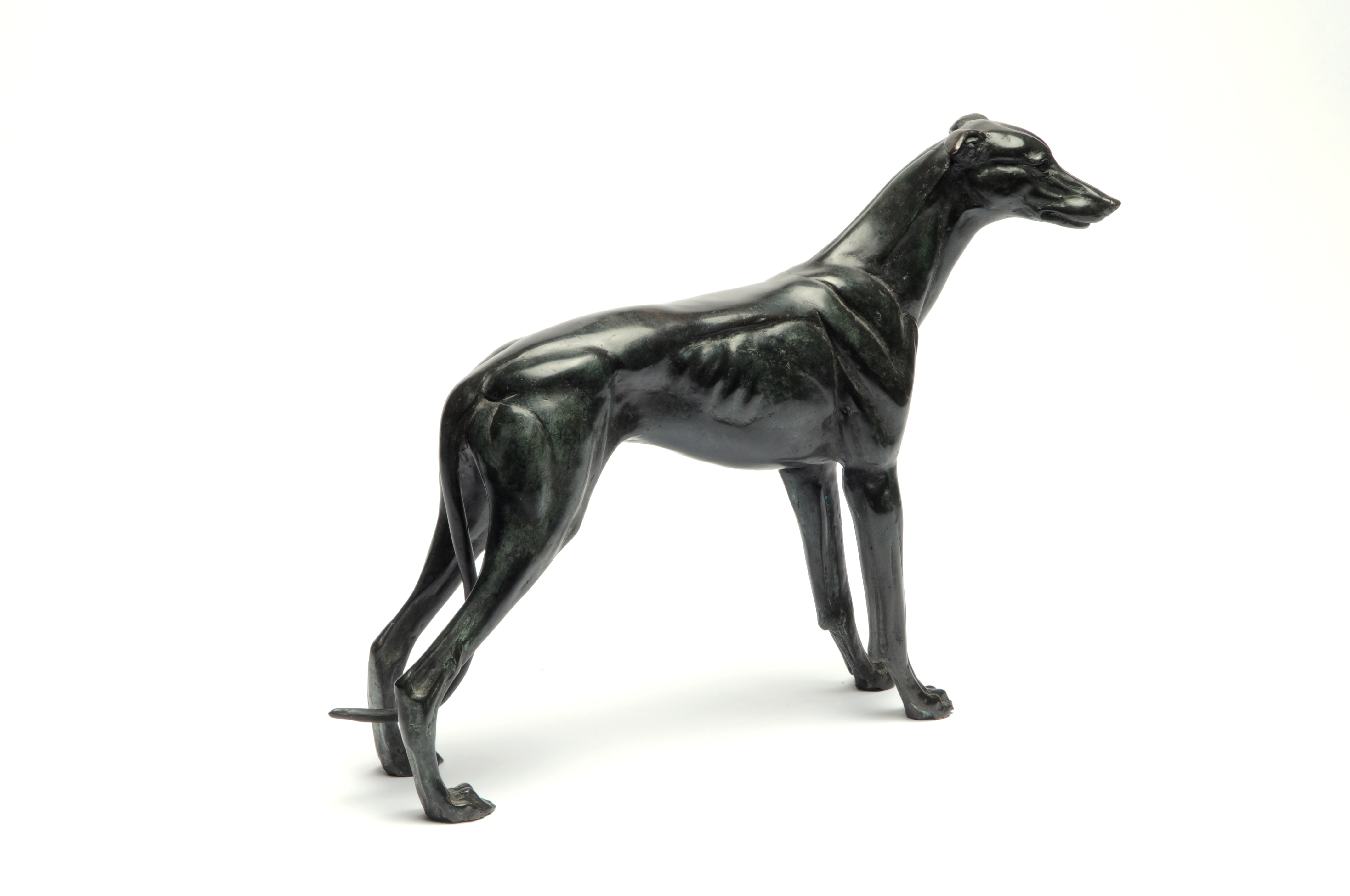 Greyhound by Martin Haywood-Harris